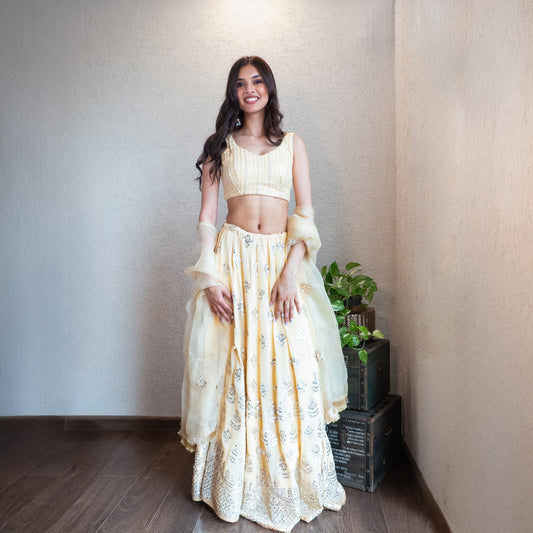 Beige Embroidered Lehenga Set with Organza dupatta