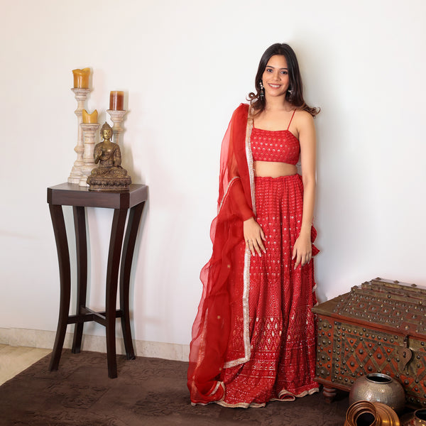 Red embroidered lehenga with organza dupatta