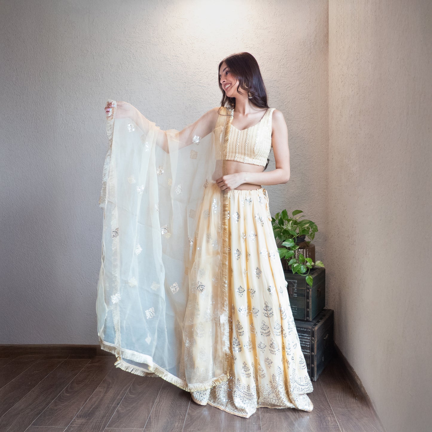 Beige Embroidered Lehenga Set with Organza dupatta