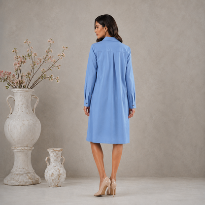 Blue Cotton Floral Applique Shirt dress with Pockets