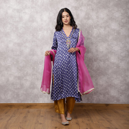 Grey Bandhani Hand Embroidered Suit Set with Dupatta