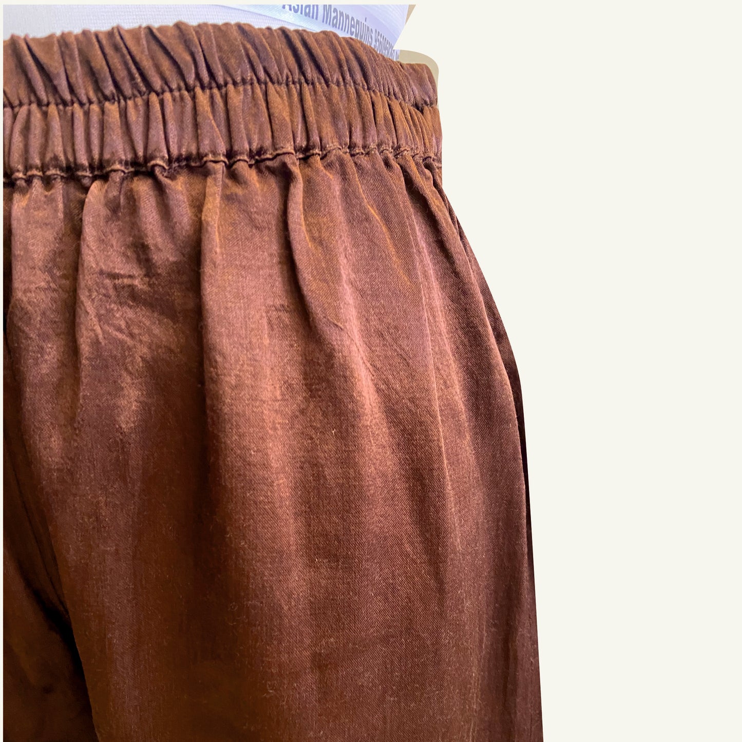 Mashru silk pants with embroidery