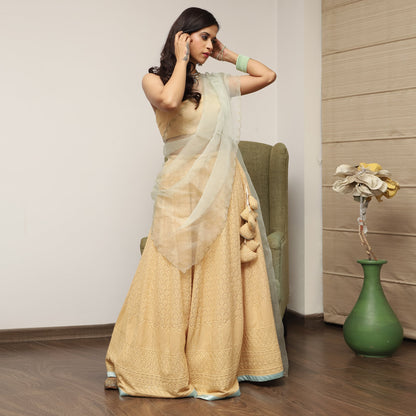 Beige Embroidered Lehenga Set